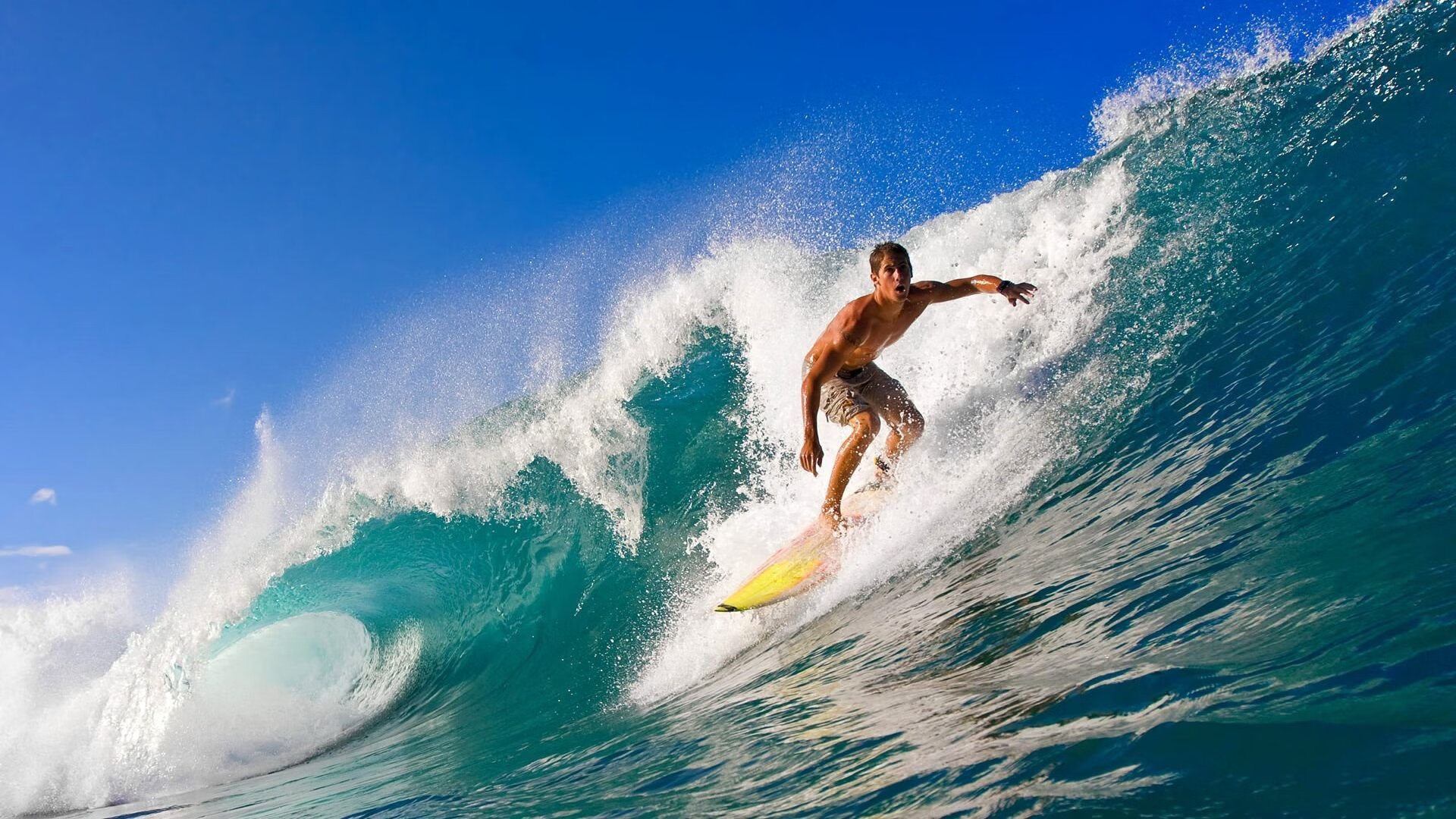 史上最激烈的冠军争夺战,史上最激烈的冠军争夺战是什么